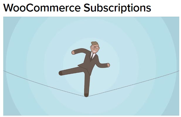 WooCommerce Subscriptions plugin