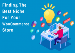 Finding the Best Niche